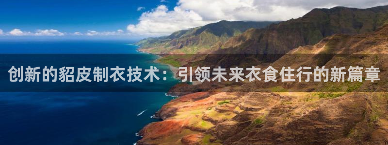 摩登口碑7