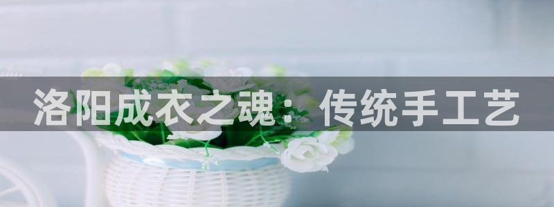 摩登6张7O667