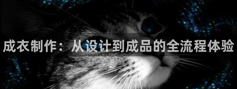 摩登6跟摩登7的区别
