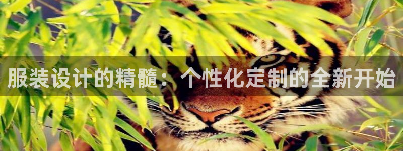 摩登7测速