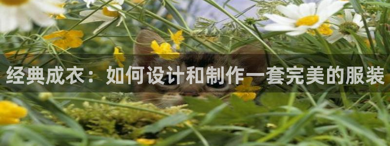 摩登7平台