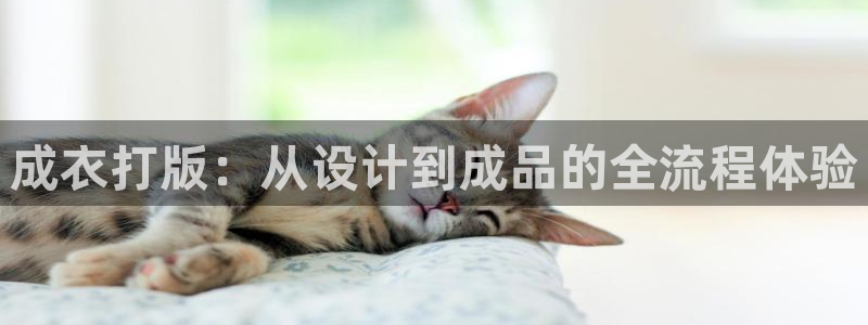 摩登7高阶