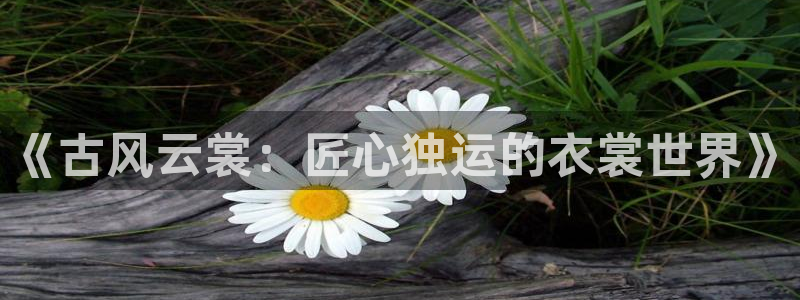 摩登7口碑