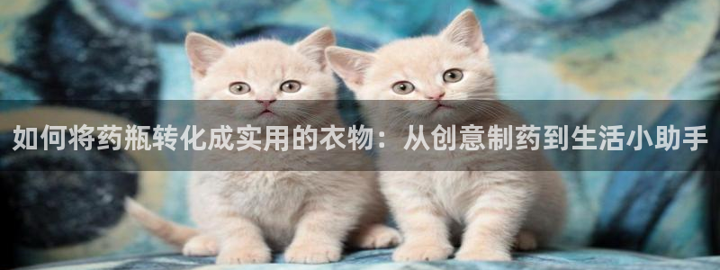 摩登7天7O667