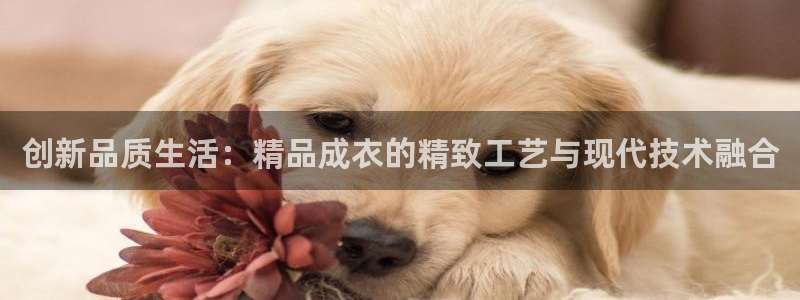 摩登5天7O667