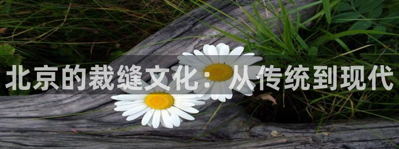 摩登乐园7