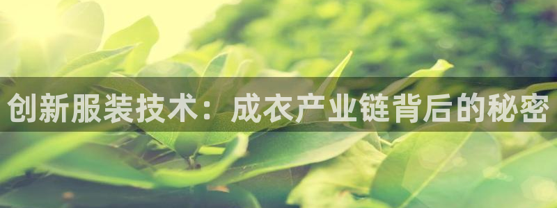 摩登5张7O667