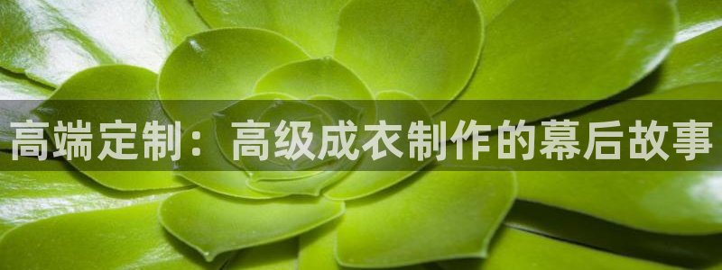 摩登7天7O667