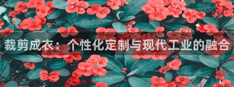摩登6跟摩登7的区别