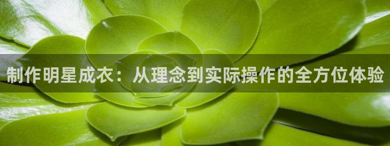 摩登精品7口碑极限