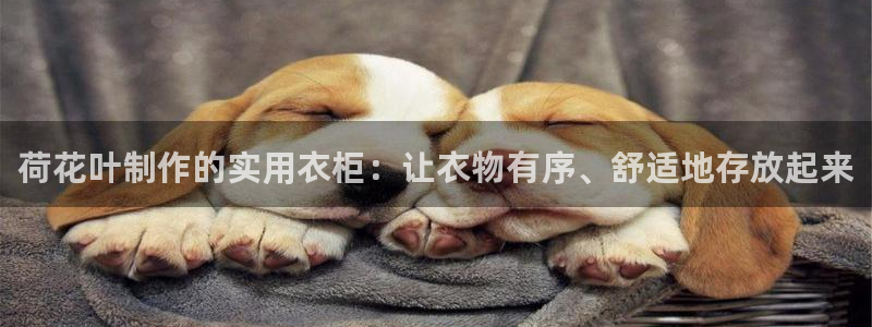 摩登7娱乐