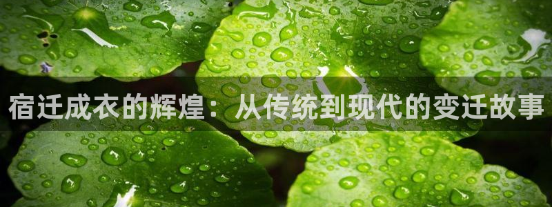 摩登3下7O667