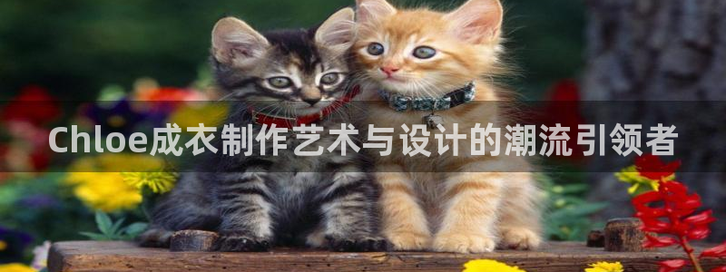 摩登7右