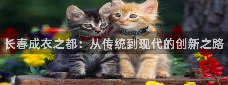 摩登招商7约22650