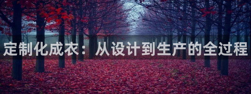 摩登7天7O667