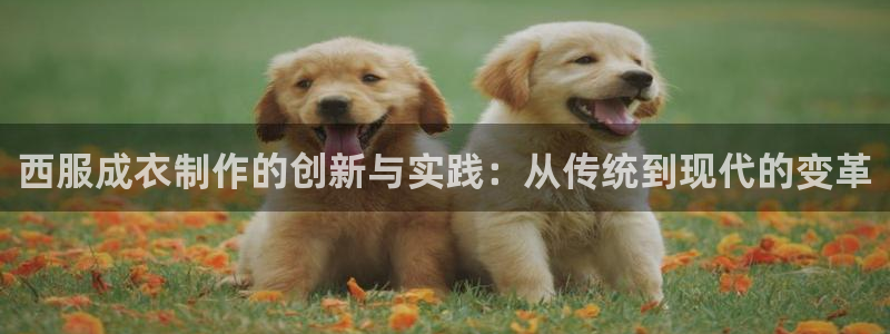 摩登7官网的详细介绍