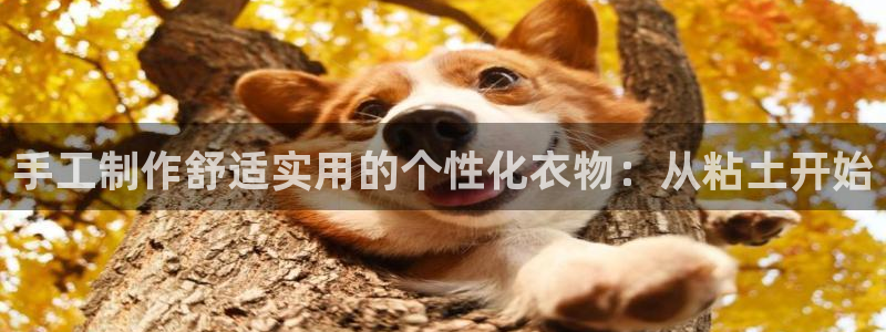 摩登5施7O667