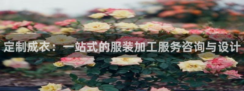 摩登7直属