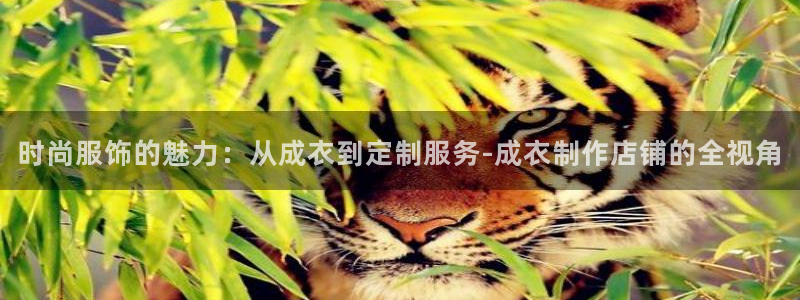 摩登7泽333OO