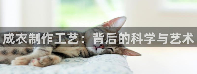 国际版摩登世界7