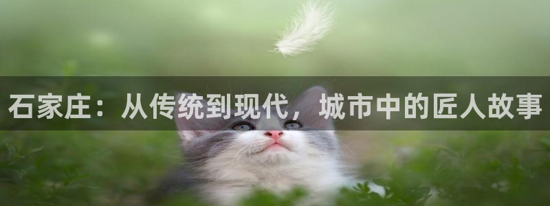 摩登7下载地址