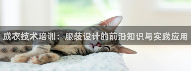 摩登6韩这7O667