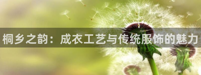 摩登招商尢首选金手指7