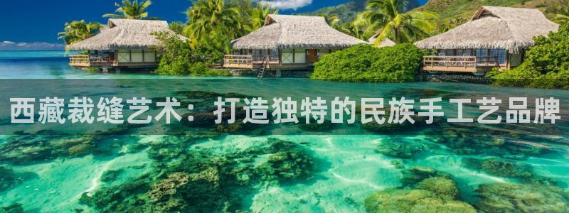 摩登7排名