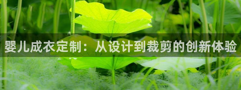 摩登7娱乐