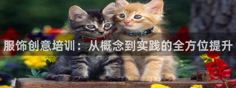 摩登7左