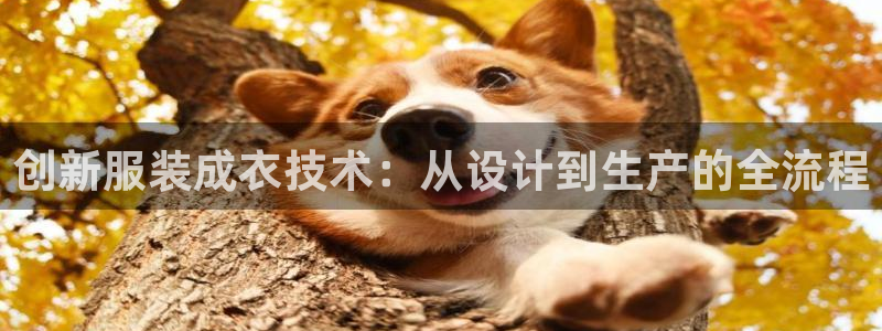 摩登7地3299O7