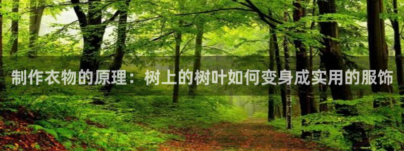 摩登7服333OO