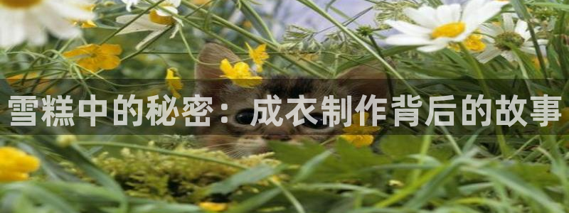 摩登3前7O667